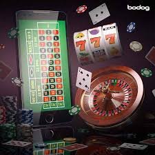 Người dùng Việt Nam trải nghiệm live casino và slot online trên điện thoại 7msports